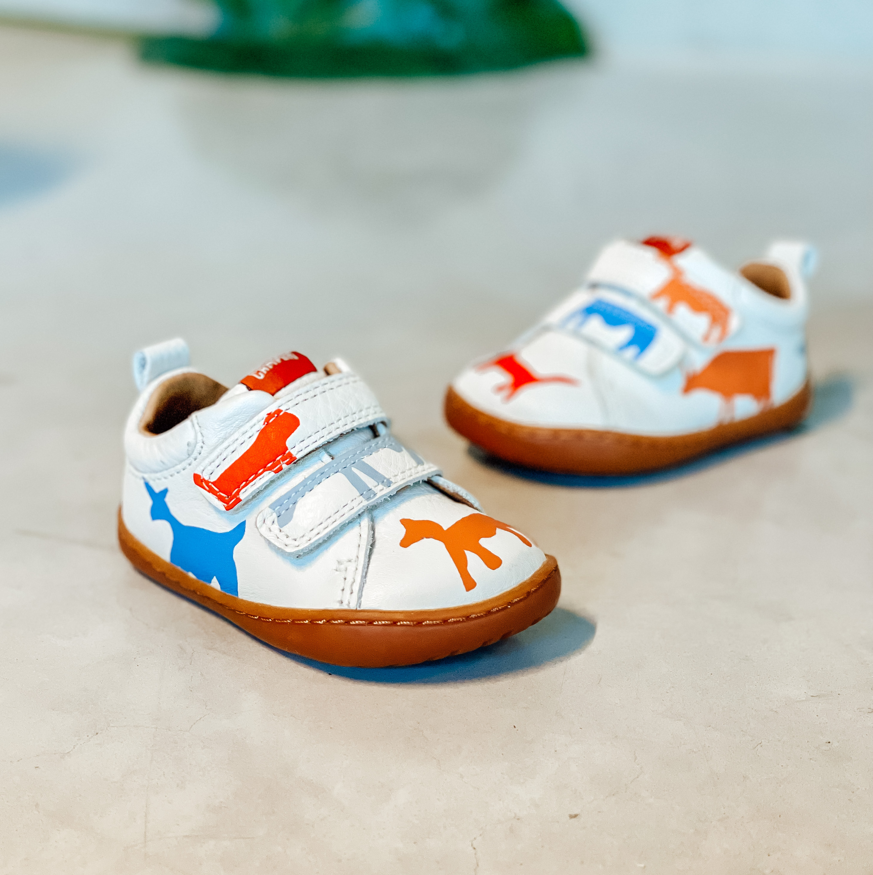 Camper for kids schoenen - Hippe Schoentjes I Snelle levering