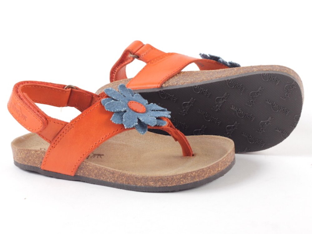 samba oranje