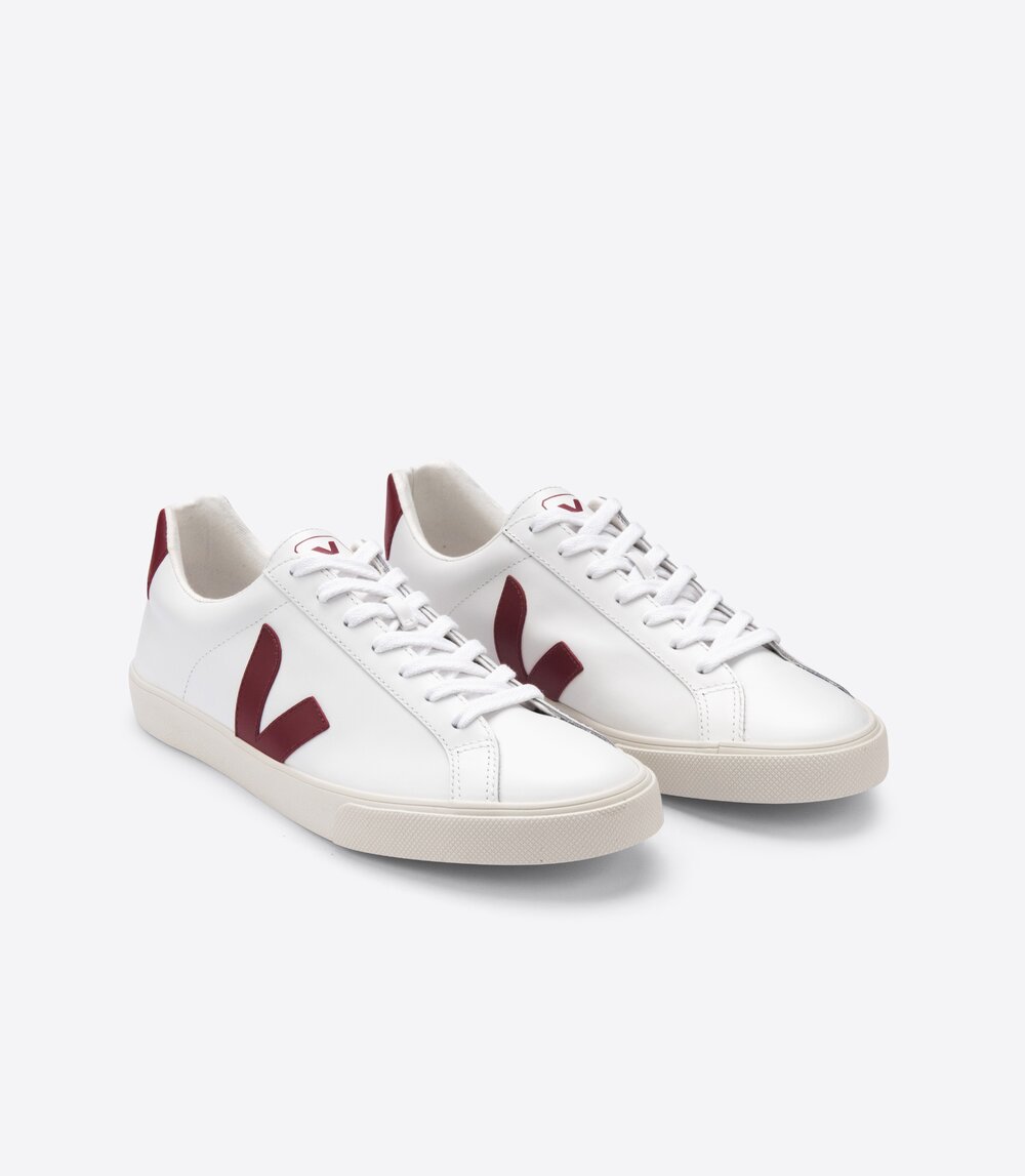 veja esplar 36