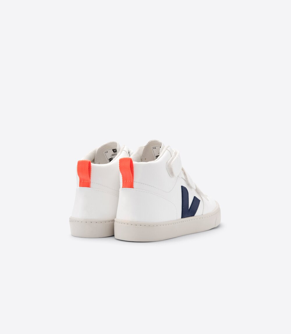 vegan veja sneakers