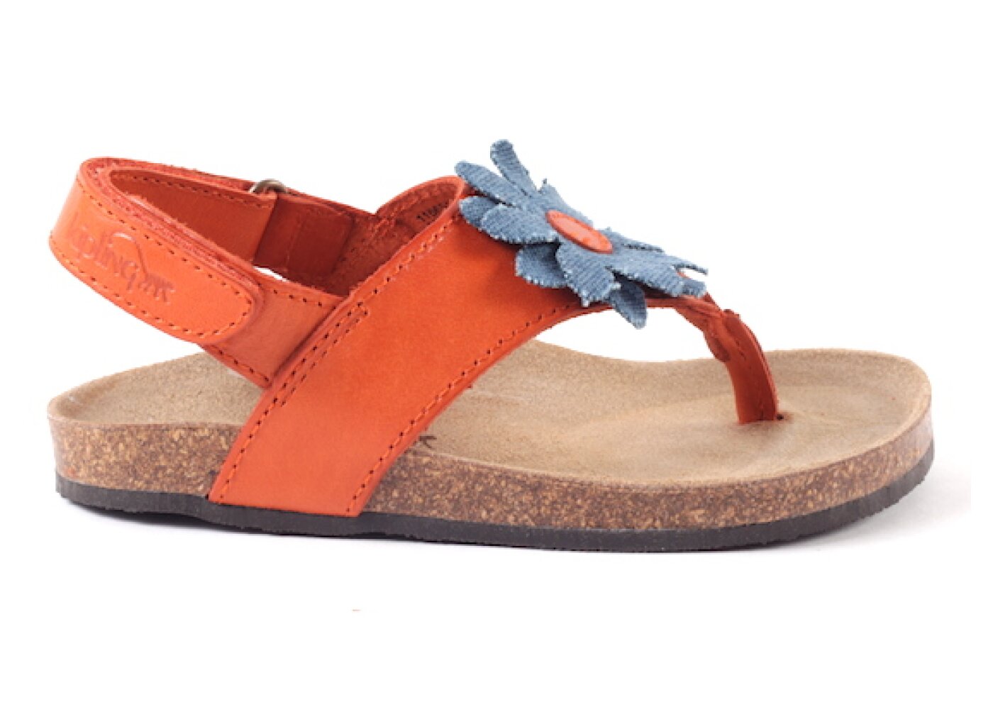 samba oranje