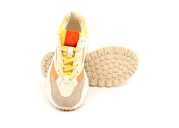 Rondinella runners