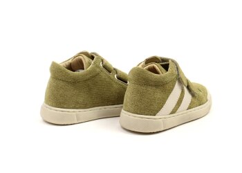 Falcotto basketters