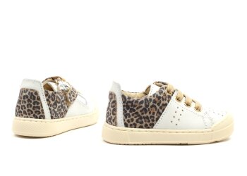 Falcotto sneakers