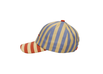 Sticky Lemon pet