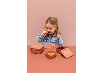 Trixie snackbox set van 3