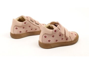 Falcotto basketters