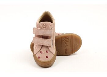 Falcotto basketters