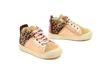 Falcotto basketters