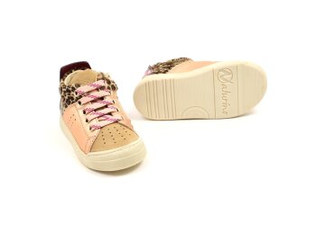 Falcotto basketters