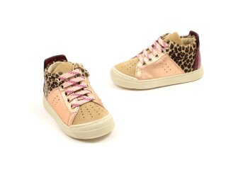 Falcotto basketters