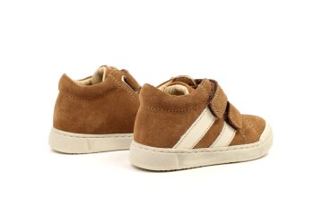 Falcotto baskettertjes