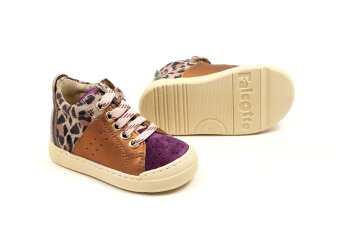 Falcotto baskettertjes