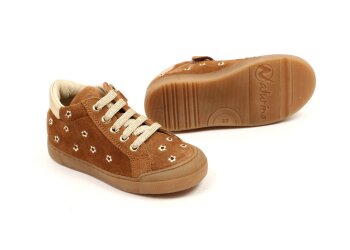 Falcotto basketters