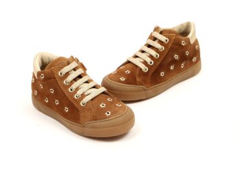 Falcotto basketters