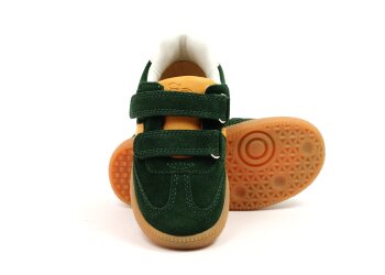 Pom d'Api basketter
