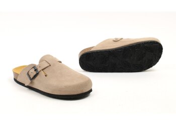 Plakton pantoffel