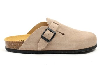 Plakton pantoffel
