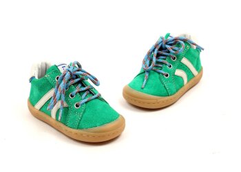 Romagnoli baskettertje