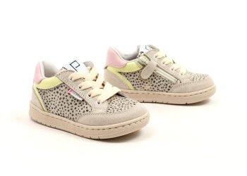 Poldino baskettertje