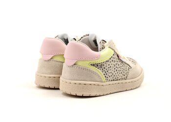 Poldino baskettertje