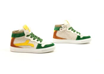 Rondinella basketters