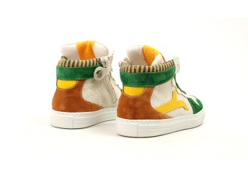 Rondinella basketters