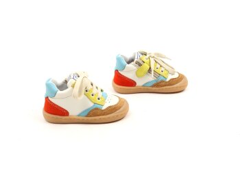 Romagnoli baskettertje