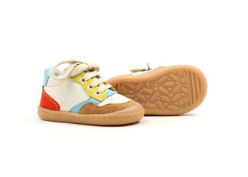 Romagnoli baskettertje