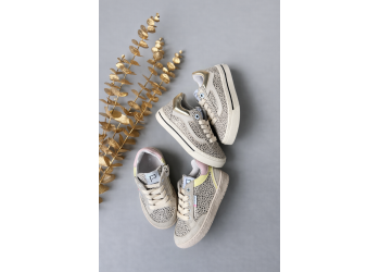 Poldino baskettertje