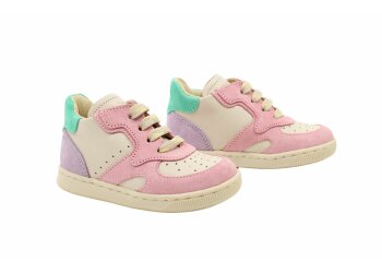 Falcotto baskettertje