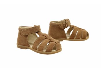 Falcotto baskettertje