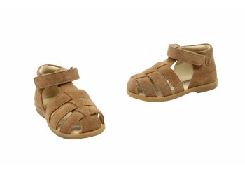 Falcotto baskettertje