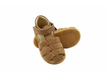 Falcotto baskettertje