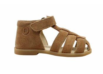 Falcotto baskettertje