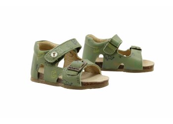 Falcotto baskettertje