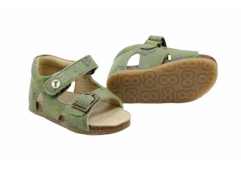 Falcotto baskettertje