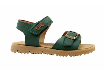 Stones and Bones sneakers