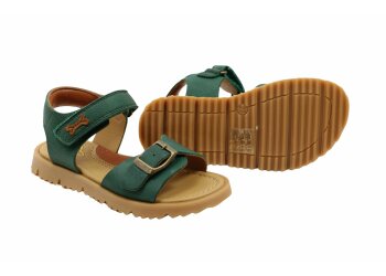 Stones and Bones sneakers