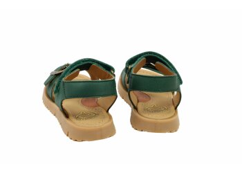 Stones and Bones sneakers