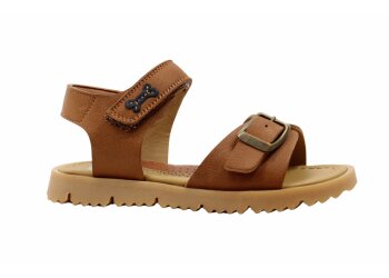 Stones and Bones sneakers