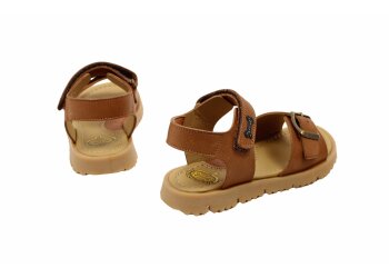 Stones and Bones sneakers