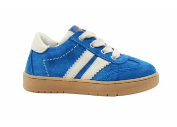 Stones and Bones sneakers