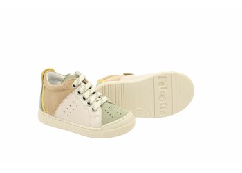 Falcotto baskettertjes