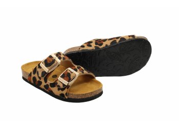 Plakton slipper