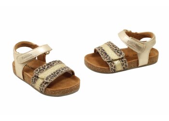 Petasil kort laarsje