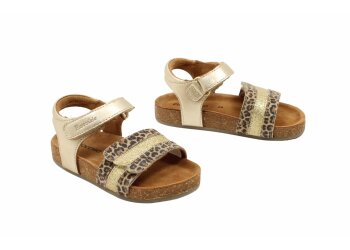 Petasil kort laarsje