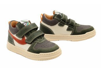 Romagnoli basketters