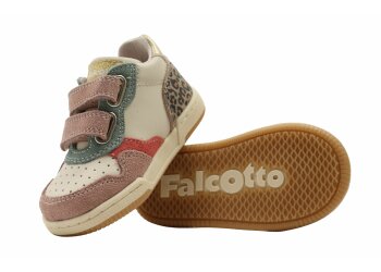 Falcotto baskettertje