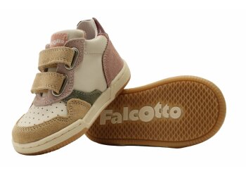 Falcotto baskettertje